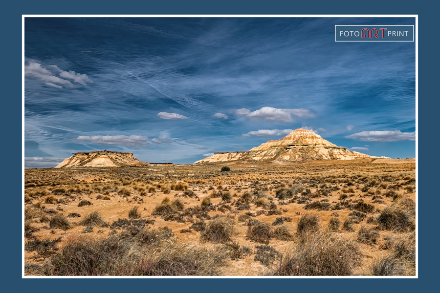 49 Barnedas Reales G