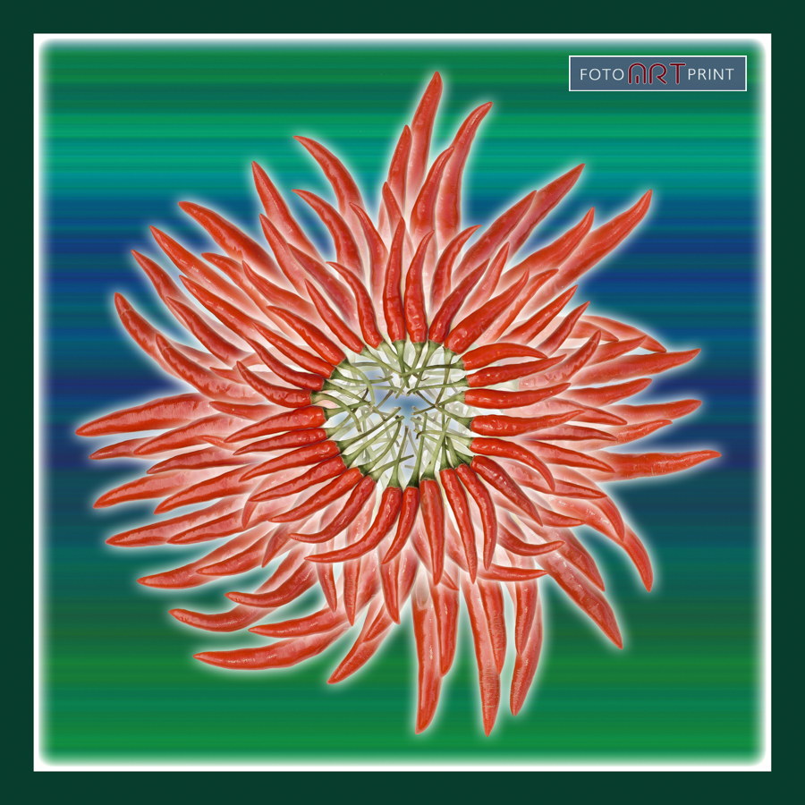 39 Peper bloem naar buiten