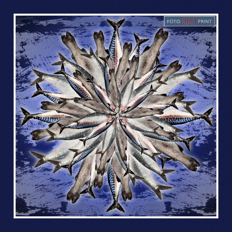 53 Vissen bloem binnen