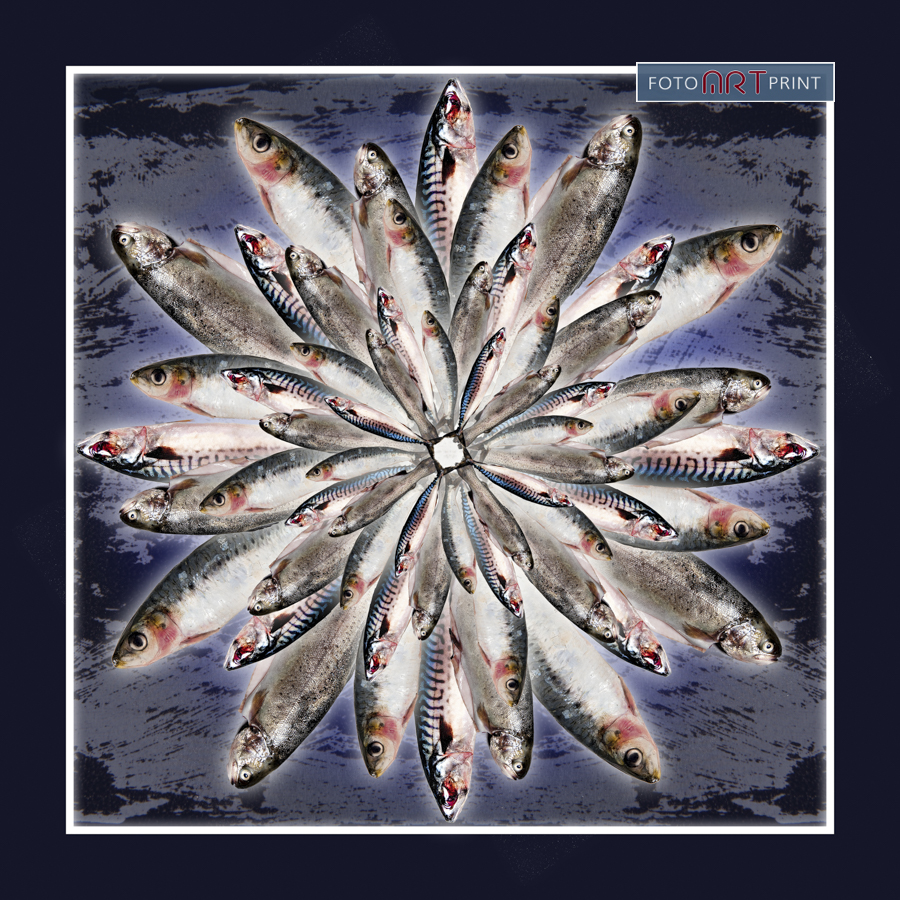 54 Vissen bloem buiten