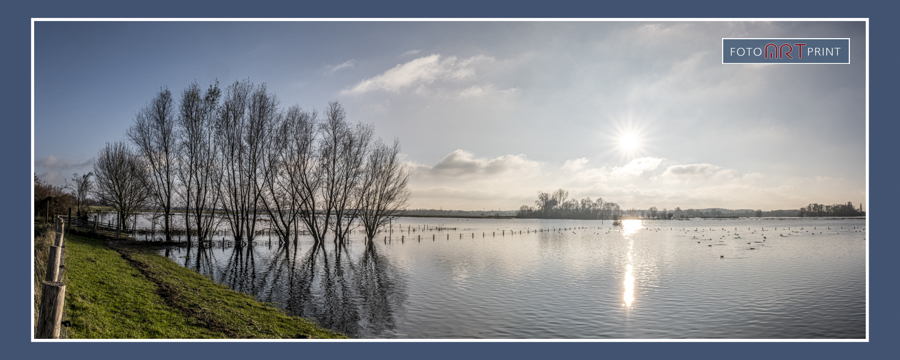 08 Bomenrij IJssel
