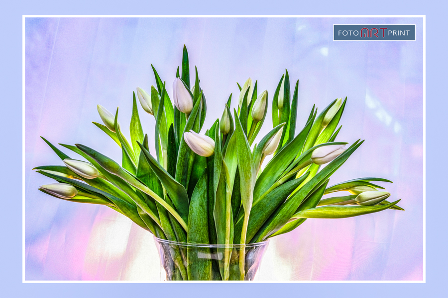 27 Bos Tulpen in Vaas