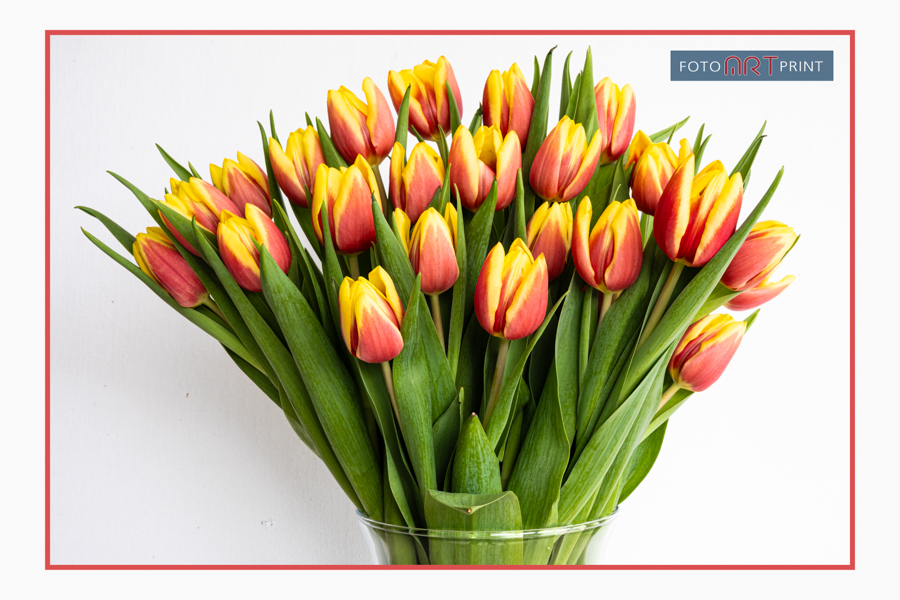29 Tulpen Geel Rood
