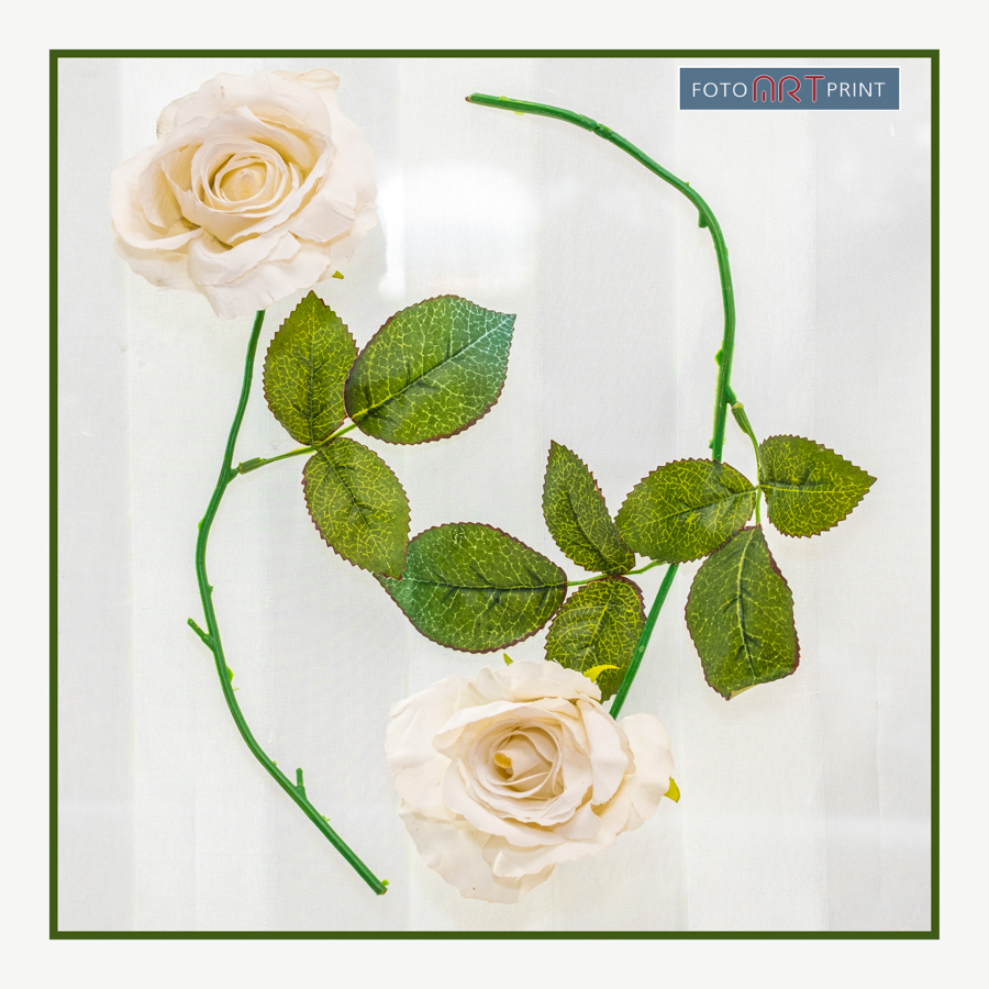 40 Rozen