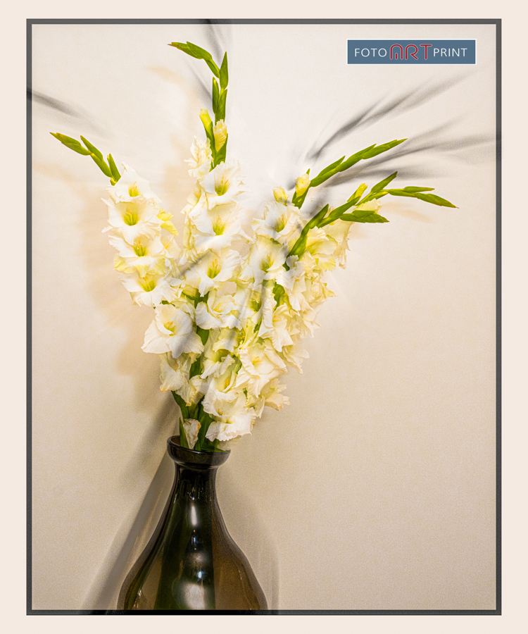 71 Gladiolen in vaas