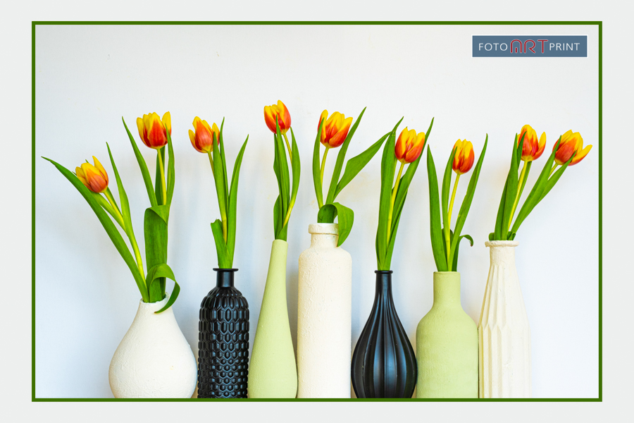 73 Tulpen in Vaasjes