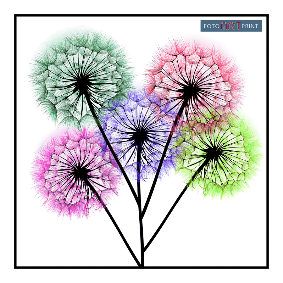 75 Paardebloem Abstract