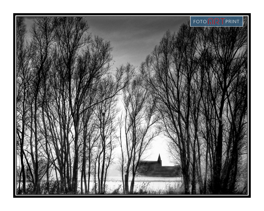 23 Hattem Kerk Bomen