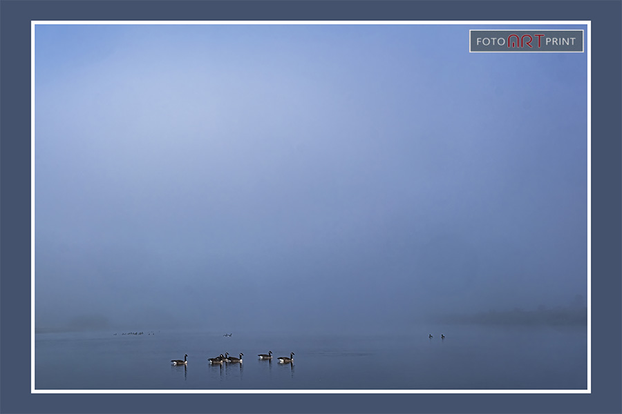 30 Eenden Mist IJssel